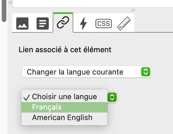../../../_images/link_change_lang.webp