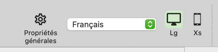 ../../../_images/lang_selector.webp